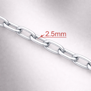 2.5mmGalvanized Decorative Chain