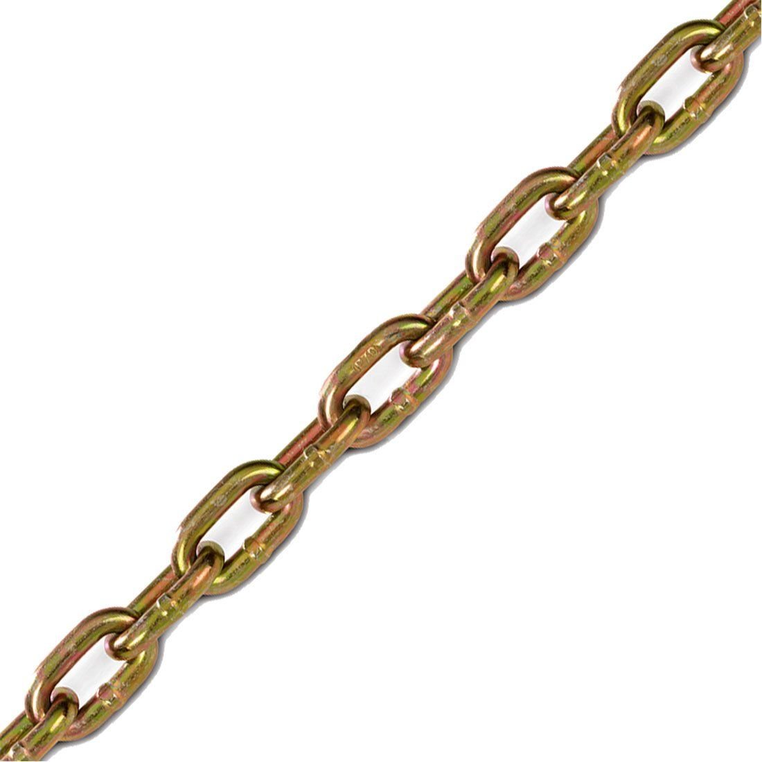 g70 transport chain